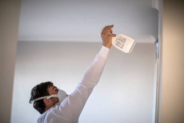 Best Black Mold Removal  in Northwest Harwich, MA