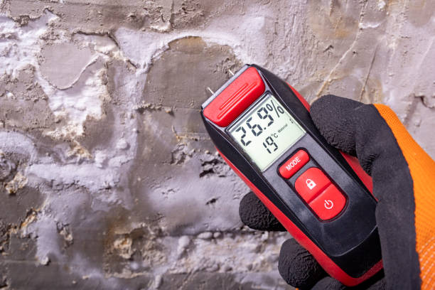 Best Mold Testing  in Northwest Harwich, MA