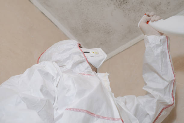 Best Crawl Space Mold Removal  in Northwest Harwich, MA
